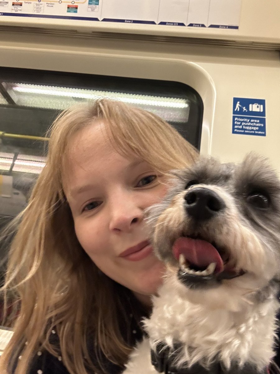 MrPicklestheHavapoo tweet media