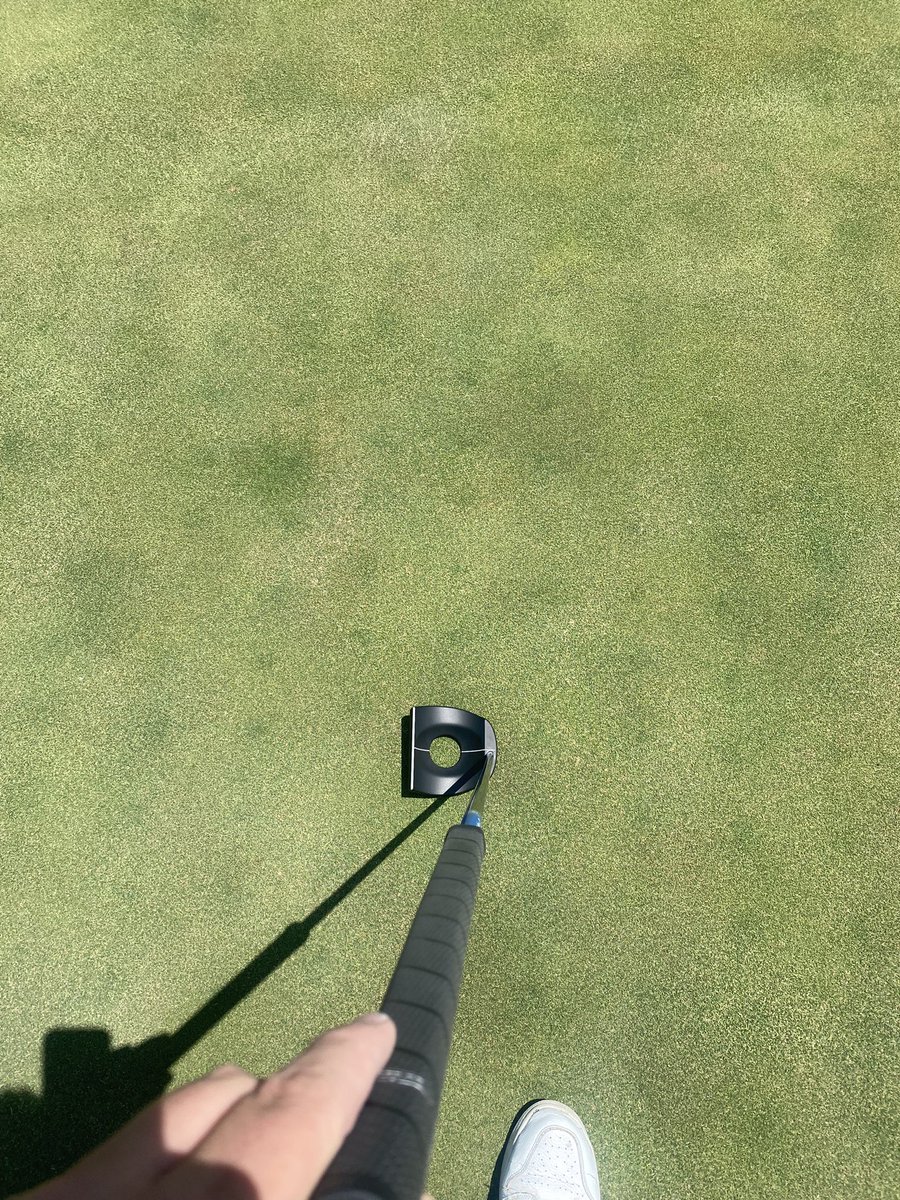 Calvin Freeman tweet media