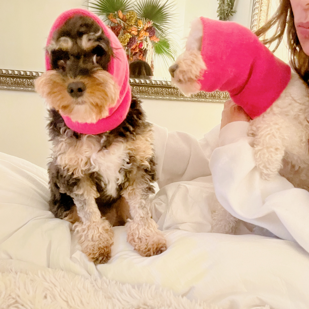 Happy 4th of July weekend for anyone without pets. Had to muffle their ears against the incessant fireworks (it’s Philly, y’all). Now, they eerily remind me of my ancestors from the old country.

#nonna #italy #pets #fireworks #HappyAF #BethRomero #happiness #wellness #self-help