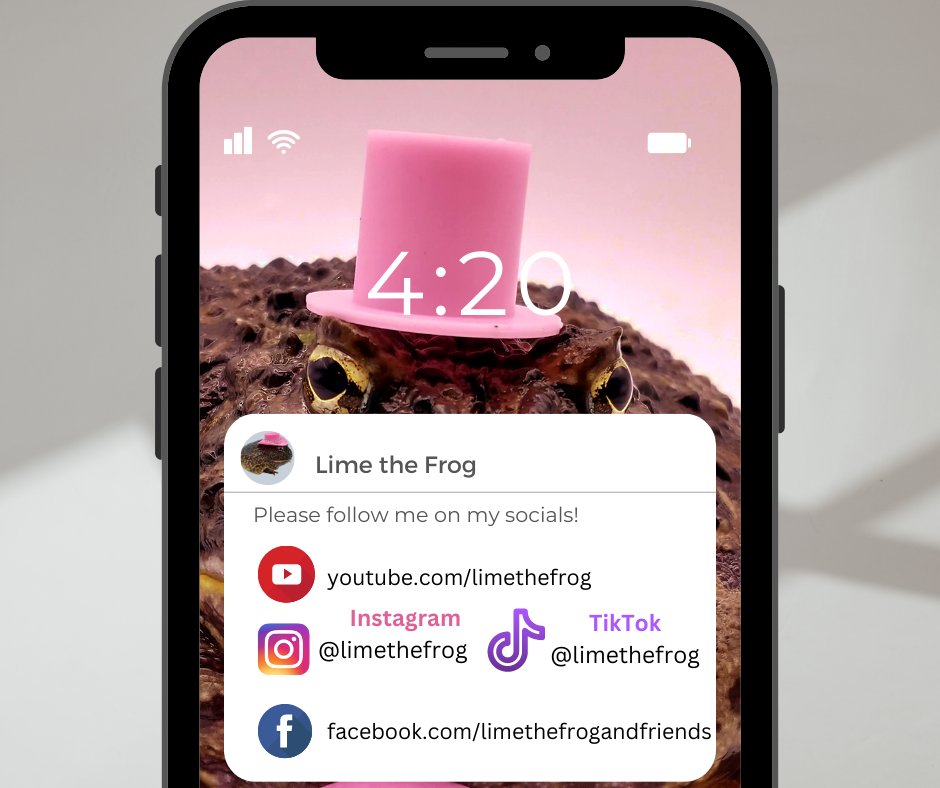 LimetheFrog1's tweet image. So with this whole #TwitterFail thing, I just want to remind y'all I am on other social media platforms aswell. In case Twitter ends up going down for real and you need your frogs-in-tiny-accessories fix go ahead and give me a follow on any of these