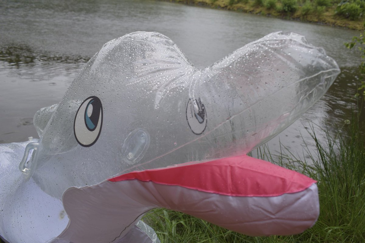 Dolphin Snout :3

You could preorder this Phin below :3

#inflatable #squeaky 

docs.google.com/forms/d/e/1FAI…
