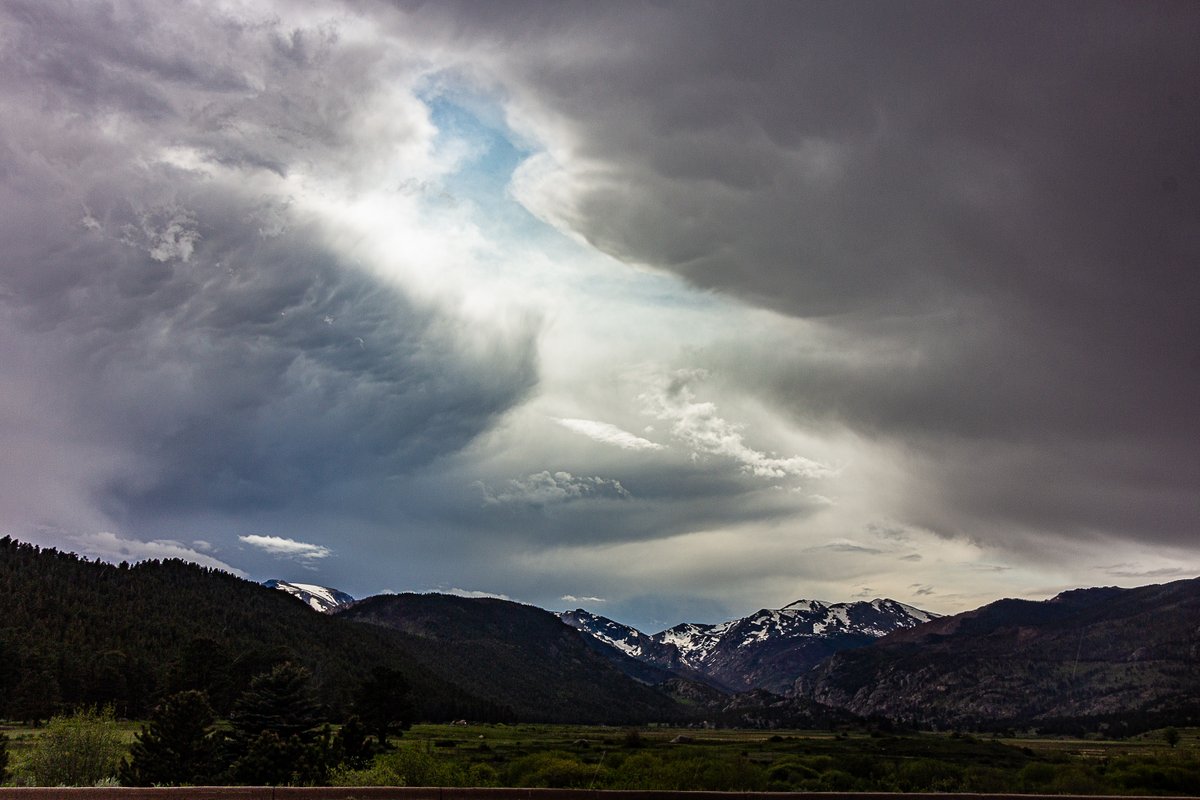 Schrödinger's Zen 2.0, or Roger (2.0) tweet media