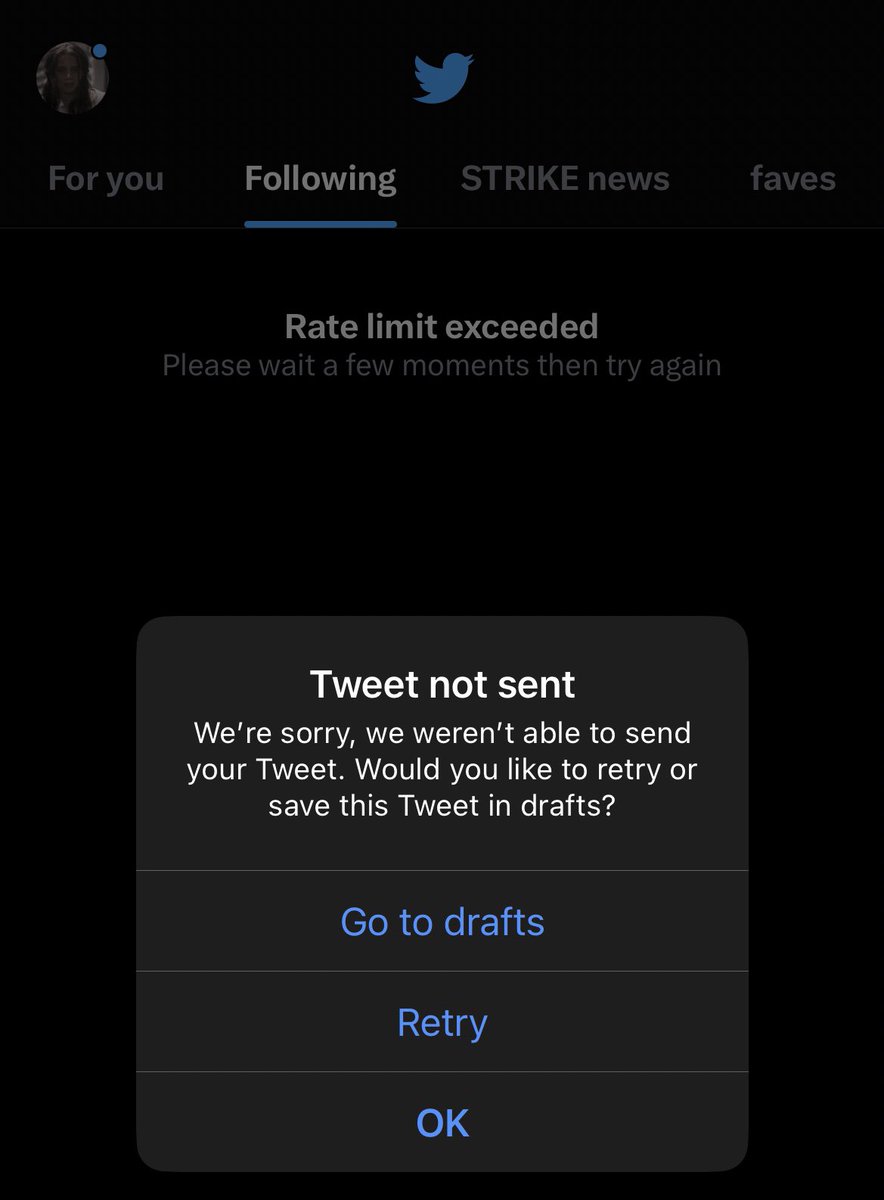 lynn’s backup tweet media