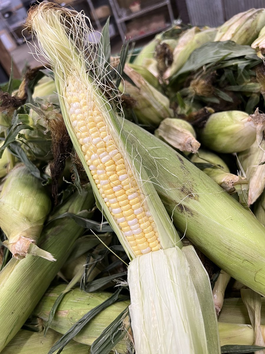redwagonfarm's tweet photo. We’re no longer just a Farmer’s Market ~ we’re a destination!  Veggies, fruit, fresh bakery, ice cream &amp; craft beer!!
Open today until 6pm
Mon 9-6pm  (Brewery closed)
July 4th 10-2pm (Brewery closed) https://t.co/8pGoPtKOhl