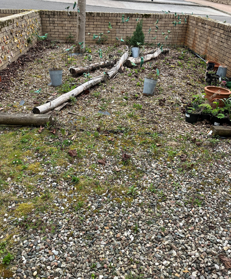 This is the space within SSERC HQ that we hope to turn into a garden area to grow fruit and veg in partnership with a local school(s). The fruit and veg will be used to demo and talk about health eating.  We are still looking for sponsor(s). Message me if interested