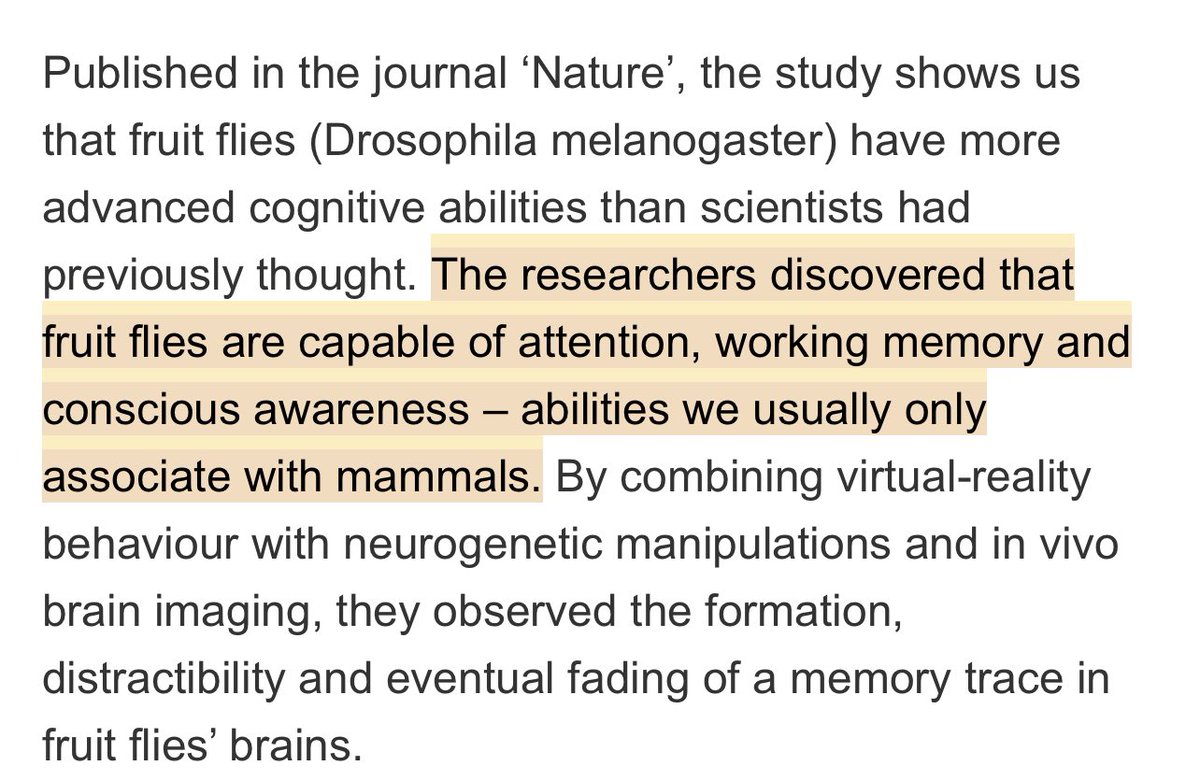It’s fascinating that somewhere in Princeton’s fruit fly brain scan lies Nature’s algorithm of attention, working memory, and even basic consciousness.

Think of the connectome as a compiled executable binary. How much source code can we decompile from a full brain simulation? 🤔