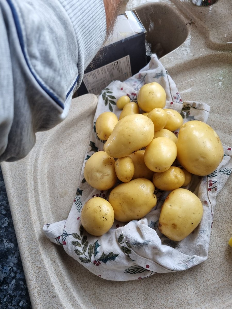 rdunn708's tweet photo. Oscar's first potato harvest with Nanny and Grandad https://t.co/bpGYtVAoLm