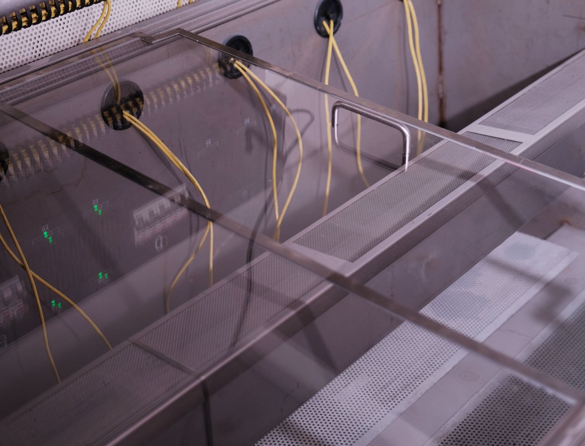 Monday blues? ☹️

Not for us #cryptominers, we're turning it golden!💪💰