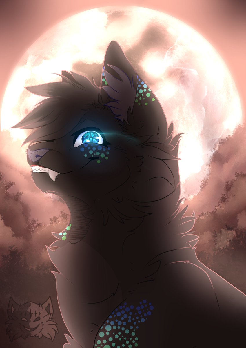 LadyShajoy's tweet photo. ❤ ArtFight attack Nr. 01 ❤
https://t.co/hUjGBsaDTI
Do NOT copy, steal or trace my art!
Art by me.
Character:
● Comète from Eridann (ArtFight)
__
#cat #catcharacter #cathybrid #catsnake #artfight #artfightattack #artfight2023 #fullmoon #teamwerewolf https://t.co/HWkFsNqalY
