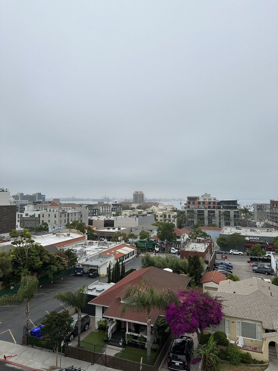 Gm Web3✨

Woke up in San Diego today 🌴