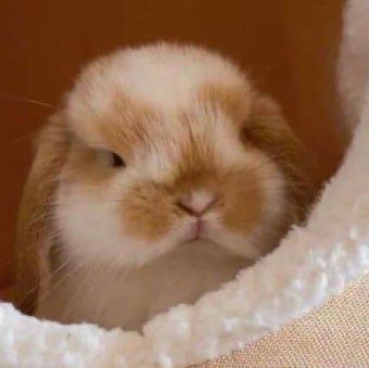 ⊹ ˙ 😠∘  ⌑ ˚