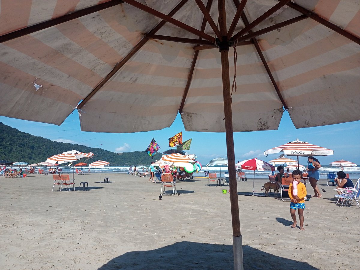 Mais cedo estava acompanhando a live do <a href="/badtux_/">Jeferson Fernando</a> aqui na praia dando uma moral na live dos 100k o homem é fera e jadeve ter ficado bêbado rssrr