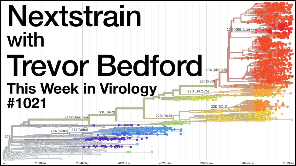 From ASV 2023 in Athens, Georgia, Vincent, Kathy &amp; Brianne speak with Trevord Bedford about his career, the development of Nextstrain.org for real-time tracking of pathogen evolution &amp; evolution of SARS-CoV-2 from January 2020 through Omicron. 📺 bit.ly/43da10i