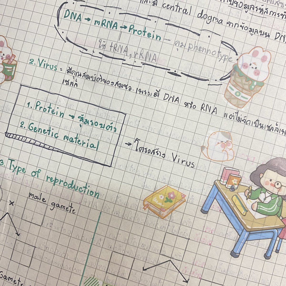 fifaaa06's tweet image. D-27🎄
-ใกล้สอบแล้วช่วงนี้เราเลยเคลียร์การบ้าน+งานที่ดอ
ไว้ค่ะ
-Bioจดสรุปจบแล้ว พน.จะเริ่มกลับมาเรียนMathกับEngแล้ว💪🏻
#study #studygramthailand #studygram #วันนี้dek67ทําอะไร