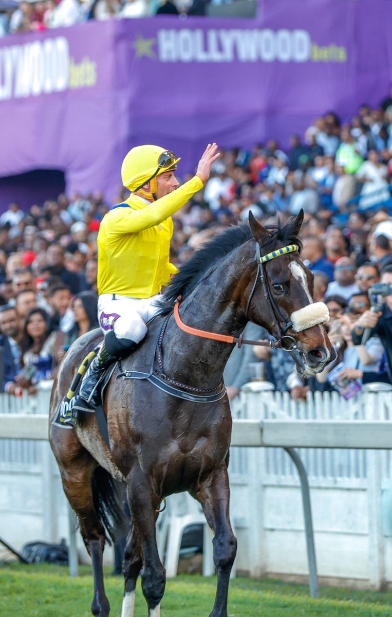 SnaithRacing's tweet image. Thank you Do it Again. 

You were a privilege. ❤️