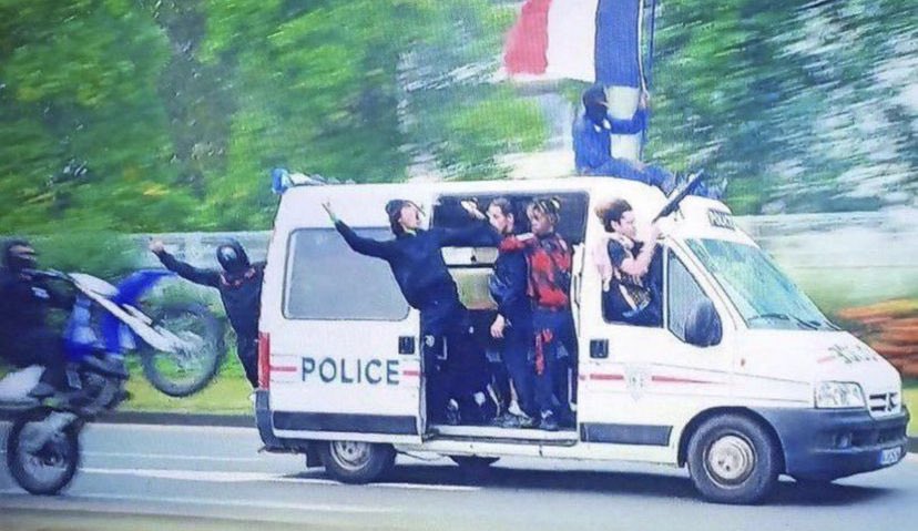 gatheredremains's tweet image. Insurrection is beautiful.