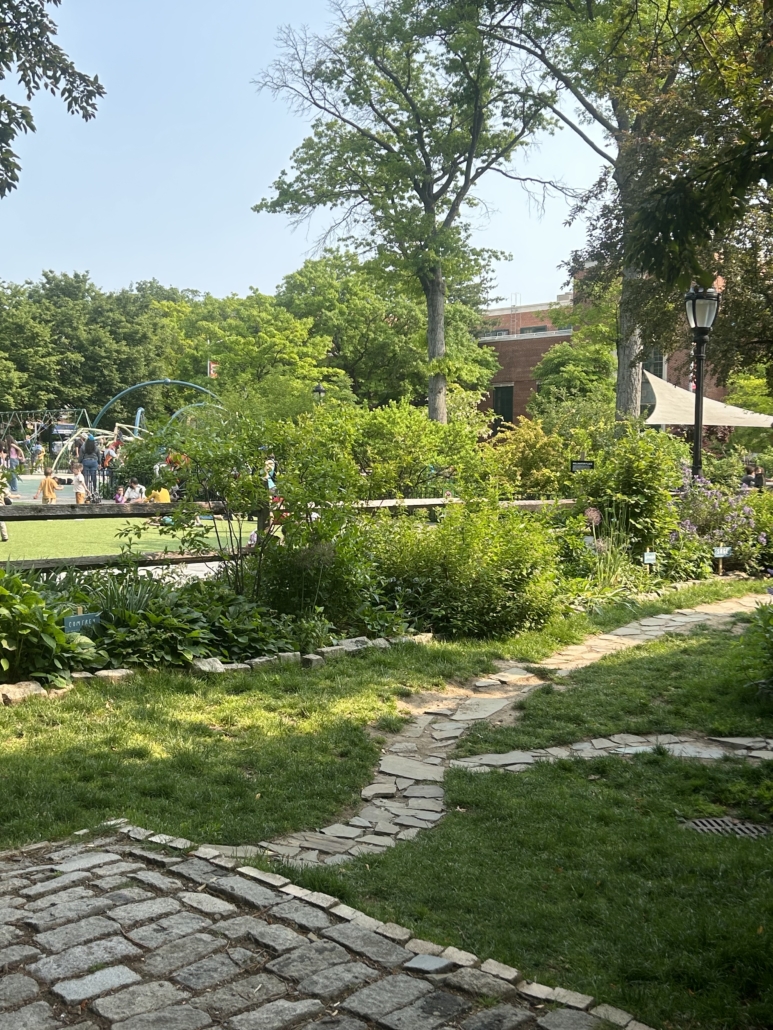 Join herbalist Danielle Moore and local artist, Iviva Olenick for a walking tour of medicinal plants found on the grounds of Old Stone House &amp; Washington Park.

theoldstonehouse.org/event/medicina…