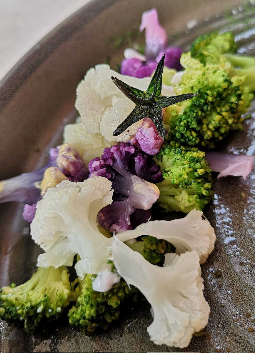 Bambiliana's tweet image. #LunchWithAView #Laglio #LakeComo #LagoDiComo