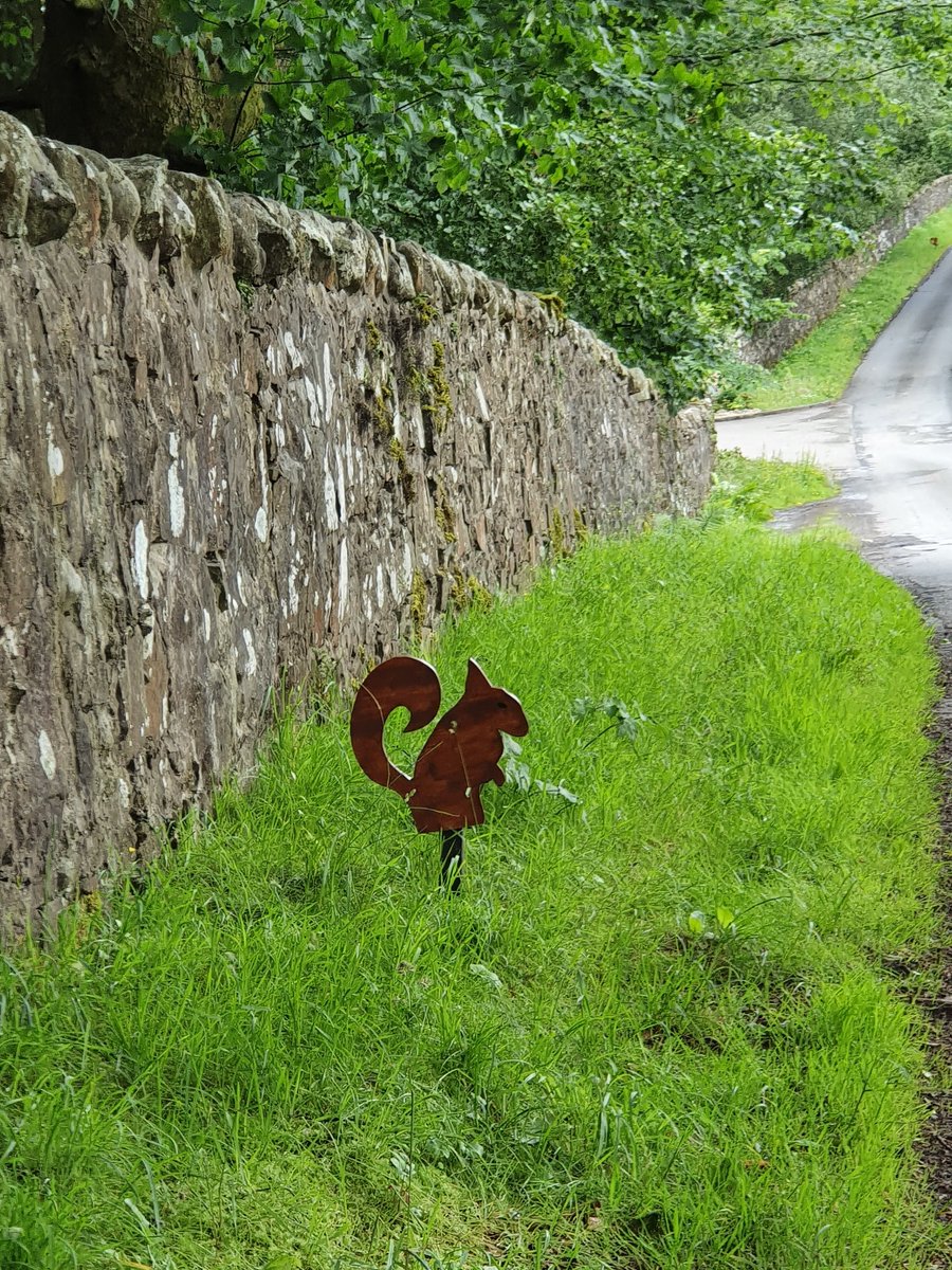 ConservationFis's tweet photo. Thank you @cowdengarden #Dollar for putting up the squirrels!
Hope it will slow down traffic and stop #redsquirrels getting squashed 🤞 https://t.co/j2fVTGMis0