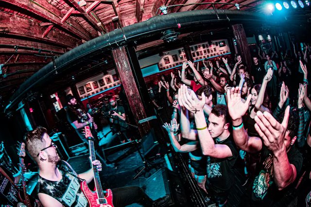 Vilified tweet media