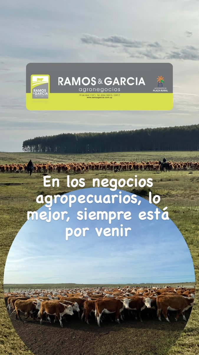 ✅#negociosparticulares 
✅9️⃣0️⃣6️⃣ novillos 1-2 años
✅VENDIDOS‼️
Gracias a la firma vendedora y compradora por confiar en nuestro servicio‼️
“En los negocios agropecuarios, lo mejor, siempre está por venir”