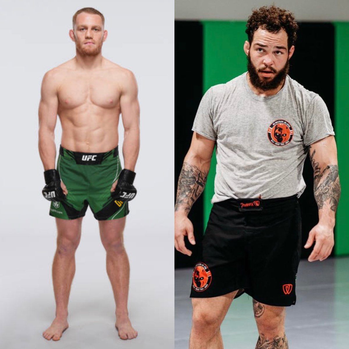 MMA Orbit tweet media