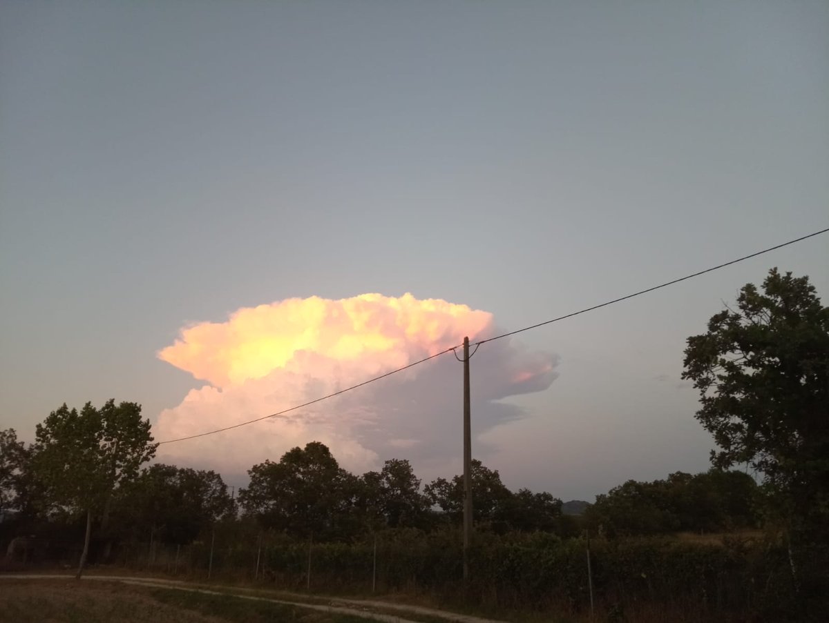 PichelM's tweet photo. @MeteoTrasMontPT elas andam ai.. https://t.co/TVh20I1HoL