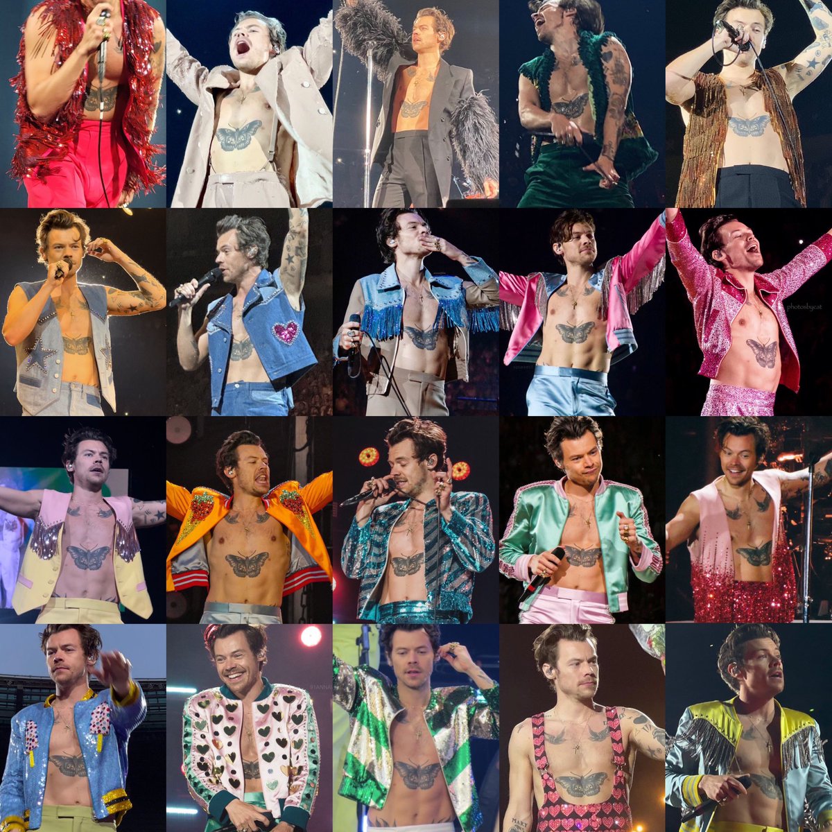 The special guest of some shows. ʚIɞ