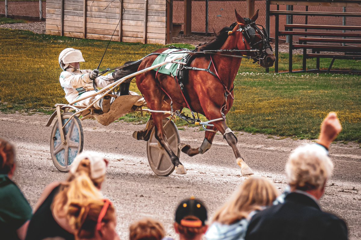 crtrot's tweet photo. Your #kinpace #elimination winners from today! GETTING EUCHRED @travishenry674 and IMA DOLL @tylerborth #thefieldisset #nextsunday #harnessracing #liveracing https://t.co/VvtWNqfwch