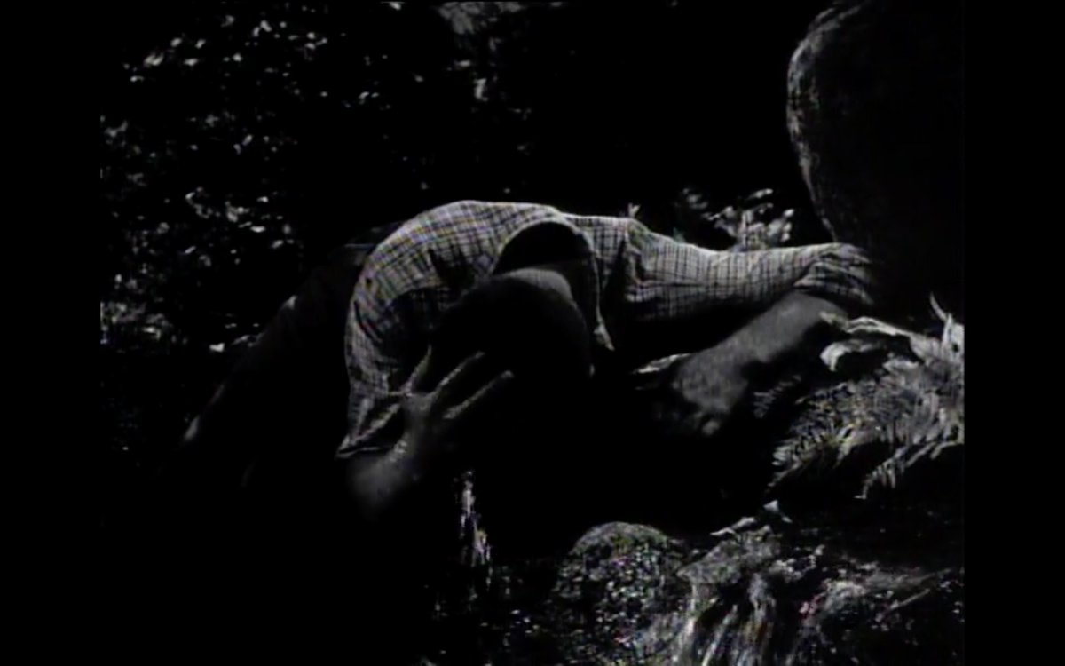 NoirAlleyAtNoon's tweet photo. A rebirth...
#DarknessAtNoon #DeepValley #NoirAlley https://t.co/y8ENunLxKF