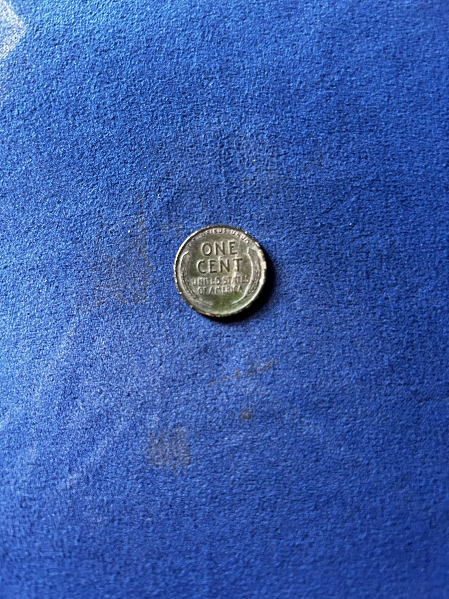 Scraps_the_Dog's tweet photo. Got out to hunt today, second oldest coin I’ve found at this farm so far. 1919 wheat penny, love how they come out of the ground. #metaldetecting #garretts #ace400 https://t.co/bXPaizQAuf