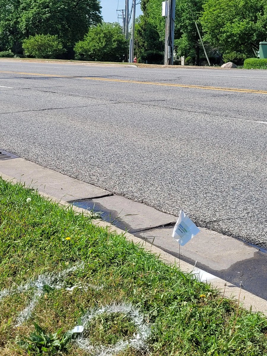 AquaDetection's tweet photo. K9 Jubel handlers pinpointing the location of water leaks and flag  investigation. K9 offer another solution for detecting and identifying leaks with accuracy and efficiency. Trust K9 Jubel and his experienced handlers to deliver exceptional results in leak detection. https://t.co/Ia9rBDQUrI