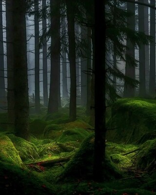 maksim (@maksim92306025) on Twitter photo 