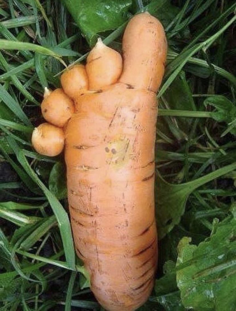 This carrot is in need of a pedicure!
