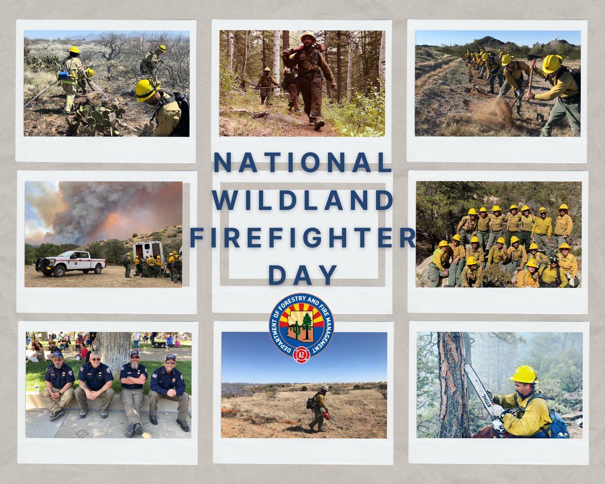 azstateforestry's tweet image. Let us take a minute to say 'thank you' to all of our #AZForestry wildland firefighters &amp;amp; our firefighting community. We appreciate your sacrifices and service to our great state of #Arizona. Be safe out there! 💛#NationalWildlandFirefighterDay #AZFire