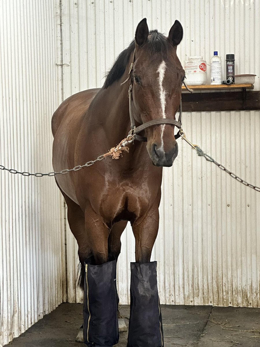 CDNeventerr's tweet image. The cutest!!!!!🫶🏼🥵💕❤️🥰