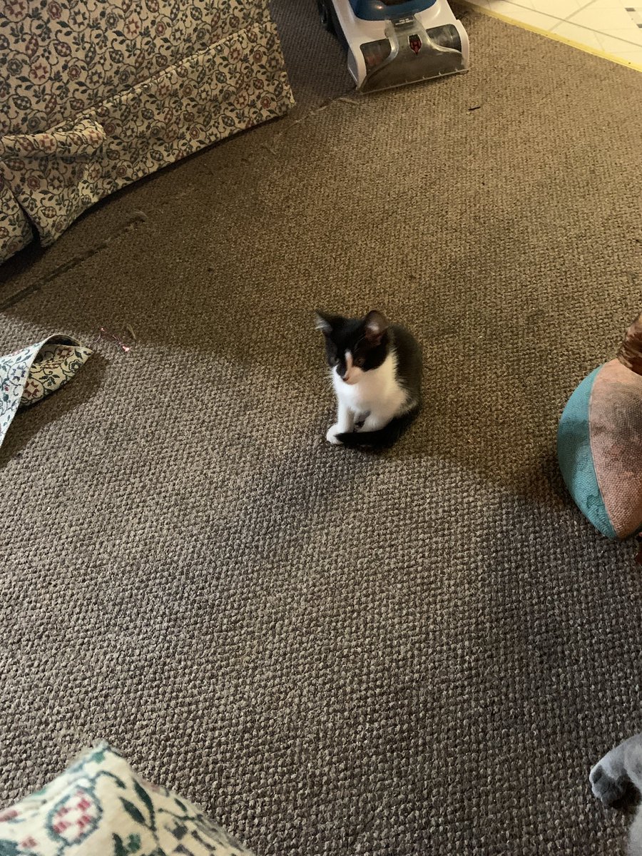 Capt Alan tweet media