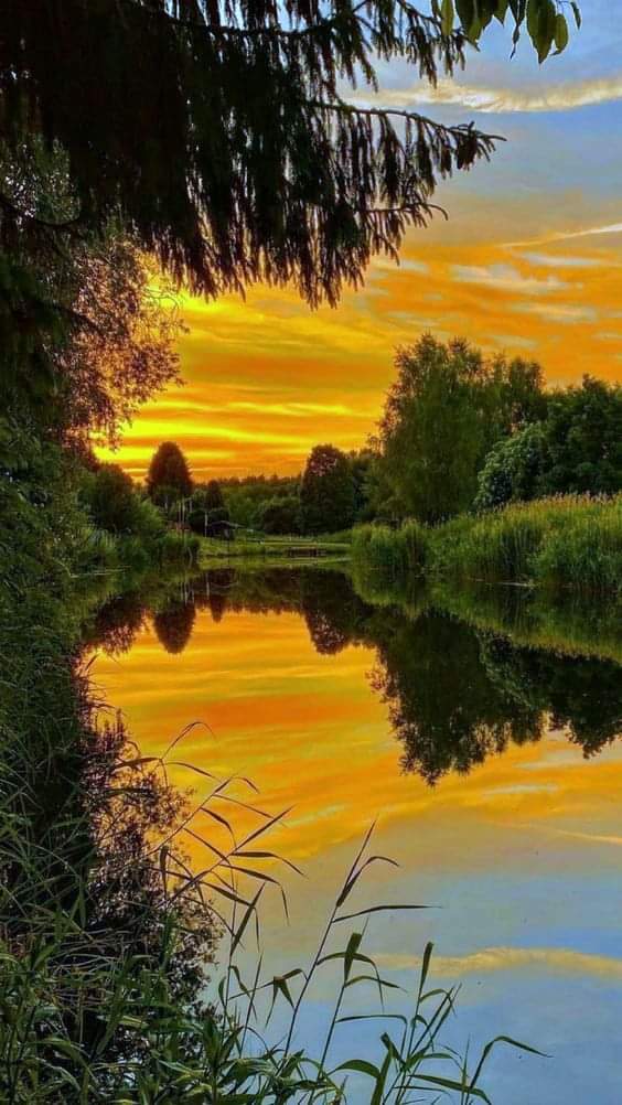 " los que tienen prisa, tropiezan"...!!!