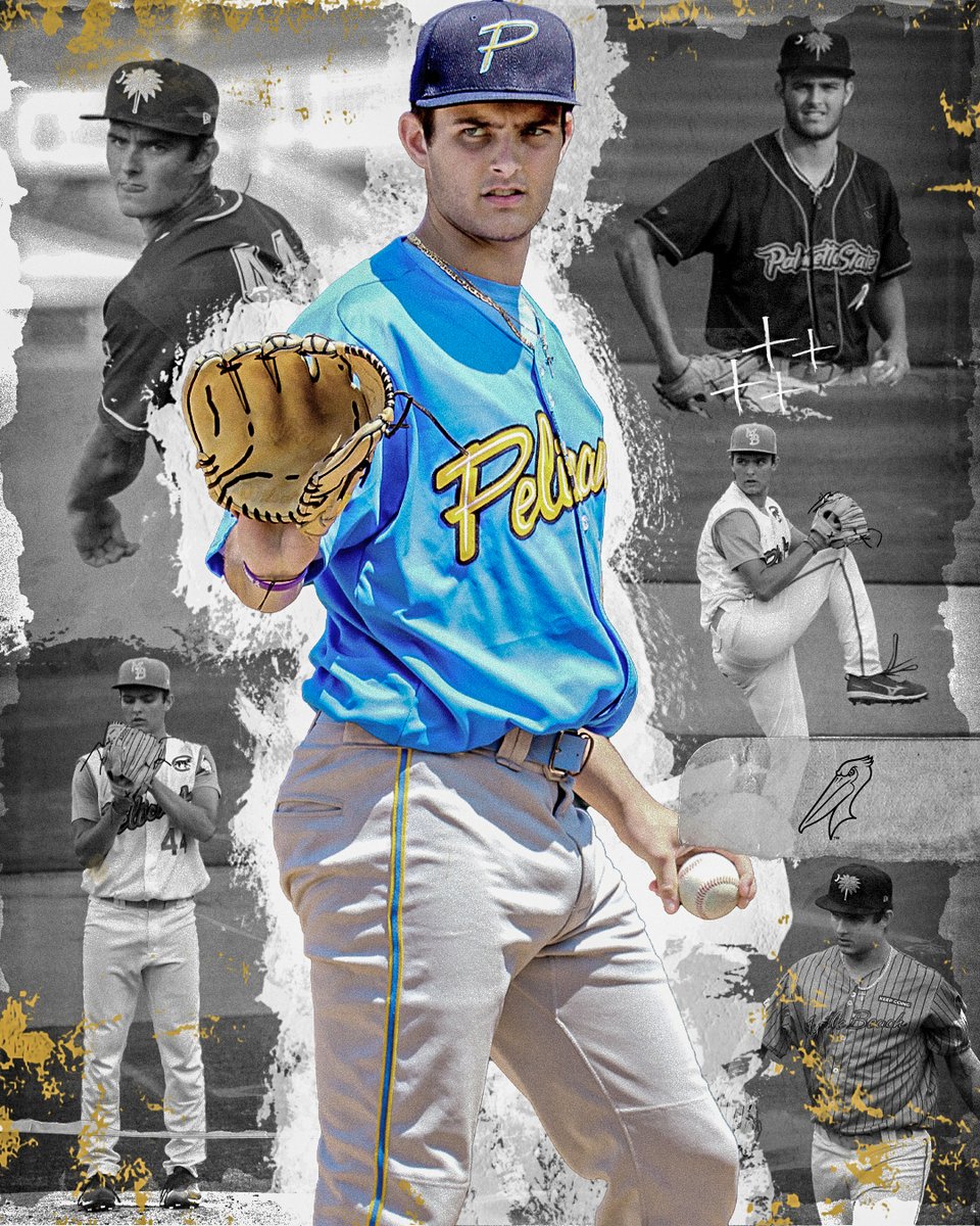 Myrtle Beach Pelicans tweet media