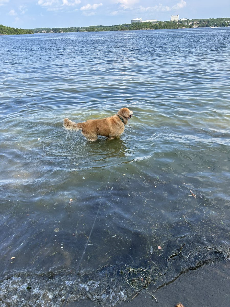 Denis Gauthier tweet media