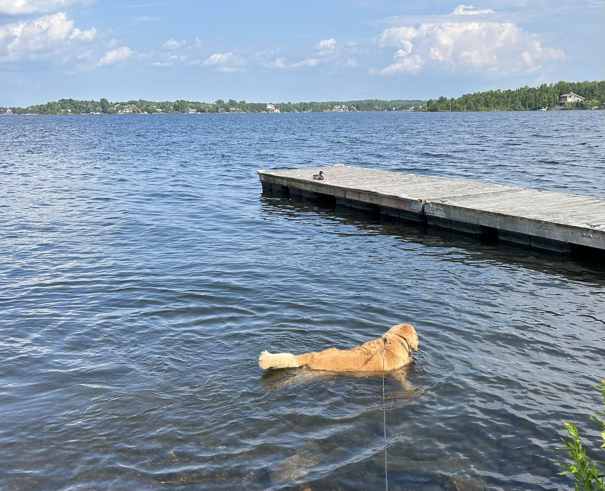 Denis Gauthier tweet media