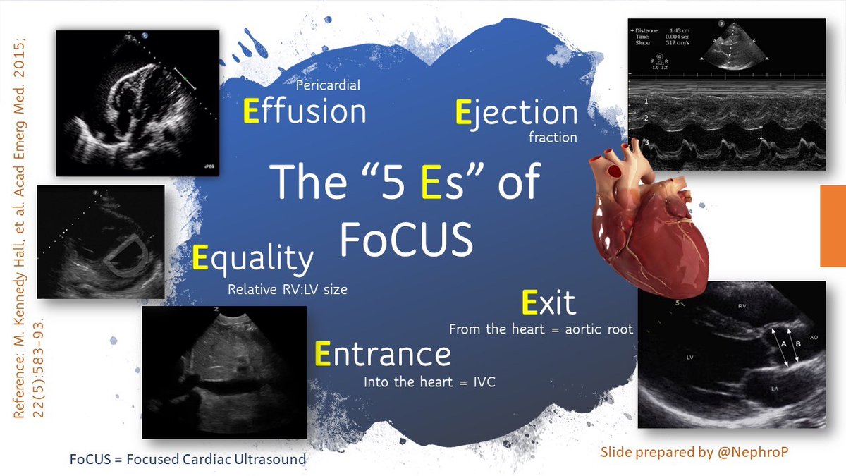 NephroPOCUS tweet media