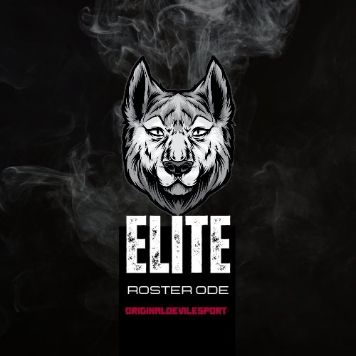 OriginalDevilES's tweet photo. Nous sommes toujours a la recherche d'un  joueur ranked pour notre roster 1 <elite>  irridescent ou écarlate @Cherche_1Groupe  #Competition #MWII #ranked https://t.co/eeOOSdvDHh