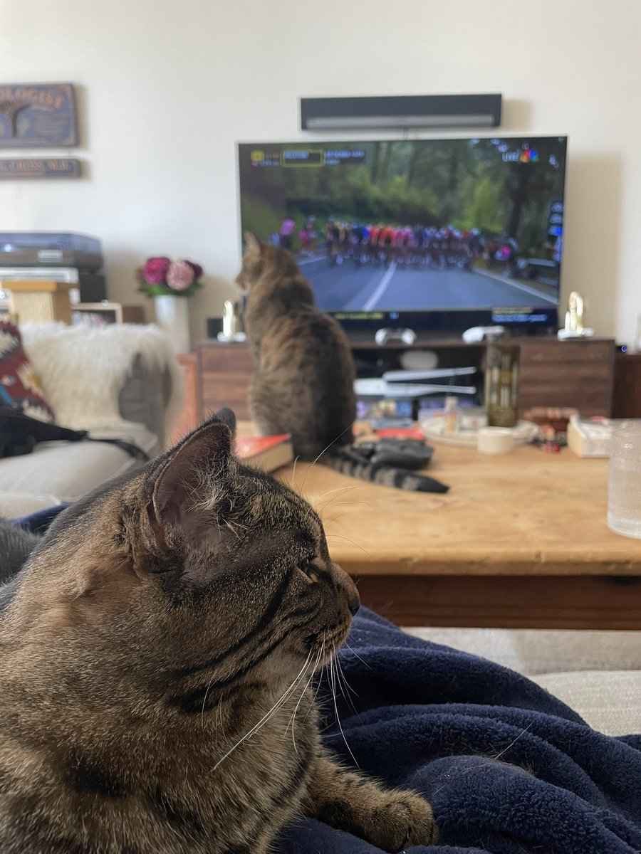 Chloe G. Cross, MD tweet media