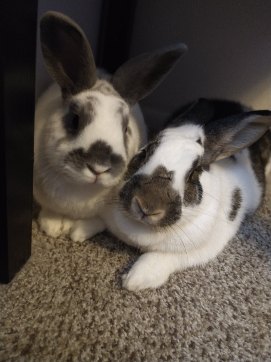 Princess Sephiroth 🍉 tweet media