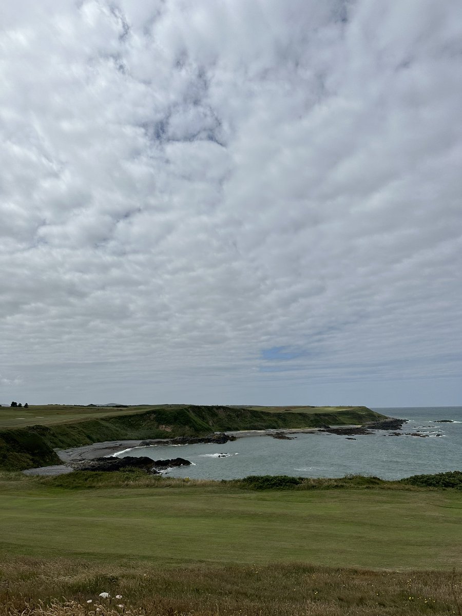 alexelliottgolf tweet media