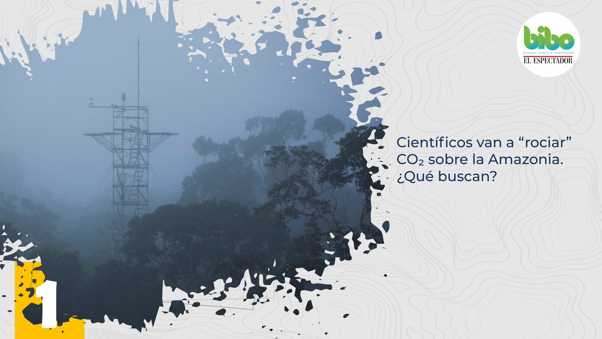 BIBOCol's tweet photo. 1️⃣ Durante diez años el proyecto #AmazonFACE planea “rociar” con #DióxidoDeCarbono un área de la selva, modificando las condiciones del bosque y simulando concentraciones futuras de #CO2. 👉 https://t.co/zkDLaBHedL https://t.co/7r80XLKwSh