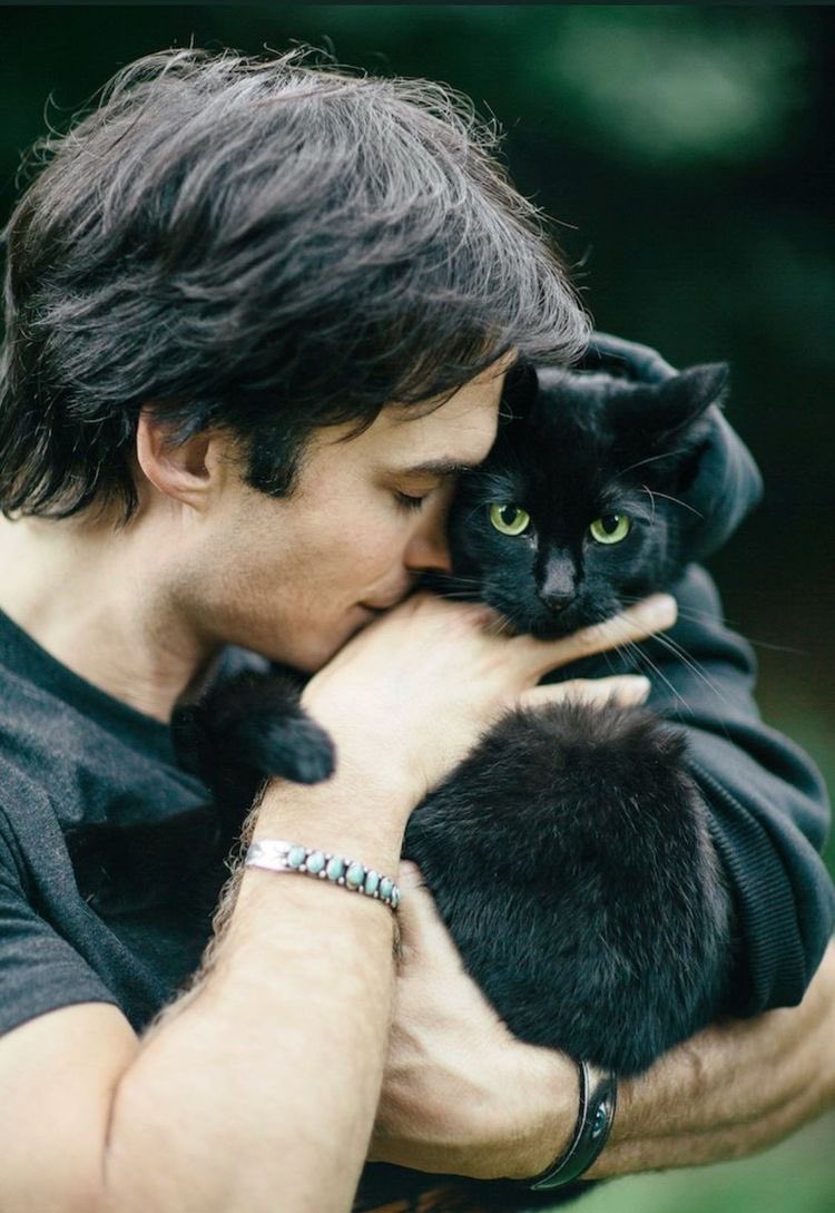 Abandon • Parody • #Forever tweet media