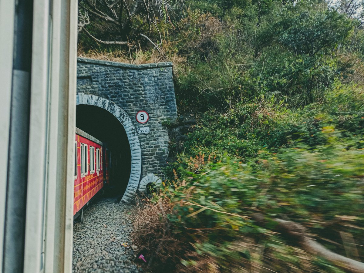 ryeinn_05's tweet photo. the experience of train ride from Kalka to Shimla was simply amazing.

#shimla #shimlatrip #hills https://t.co/Qgh0J3kliR