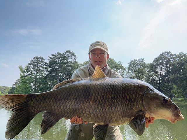 PiterFish_'s tweet photo. Beautiful carp and a successful fishing trip
#fishing #fishinglife https://t.co/hFEilhtvyu